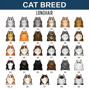 option cat 1