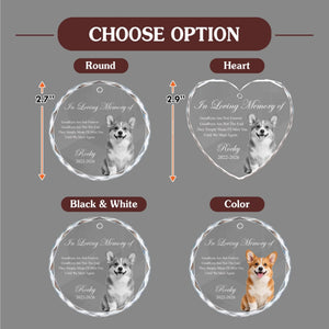 choose option