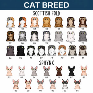option cat 2