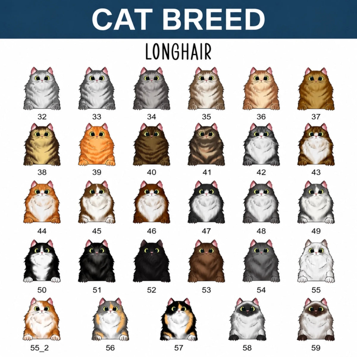 option cat 1