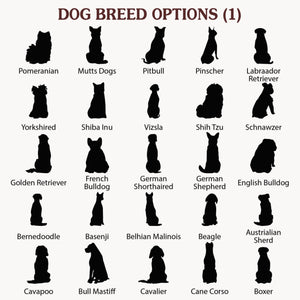 chose 1