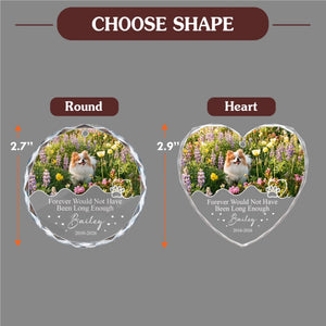 choose shape